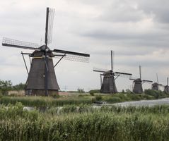 Natuur Kinderdijk molen 3 stuks op rij 