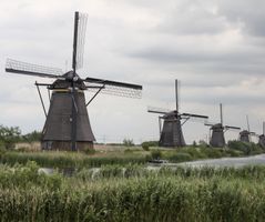 Natuur Kinderdijk molen 3 stuks op rij 
