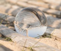 Carla Fotografie - Natuur - Maasvlakte strand lensball 